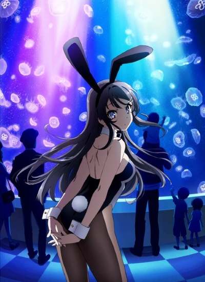 Этот глупый свин не понимает мечту девочки-зайки / Seishun Buta Yarou wa Bunny Girl Senpai no Yume o Minai