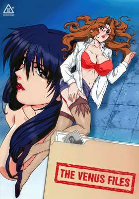 Shin Ban Megami Tantei Vinus File